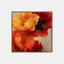 Blossom NR 37
