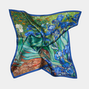 Vincent van Gogh - Iirised